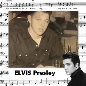 Meet your Posher, Susanna